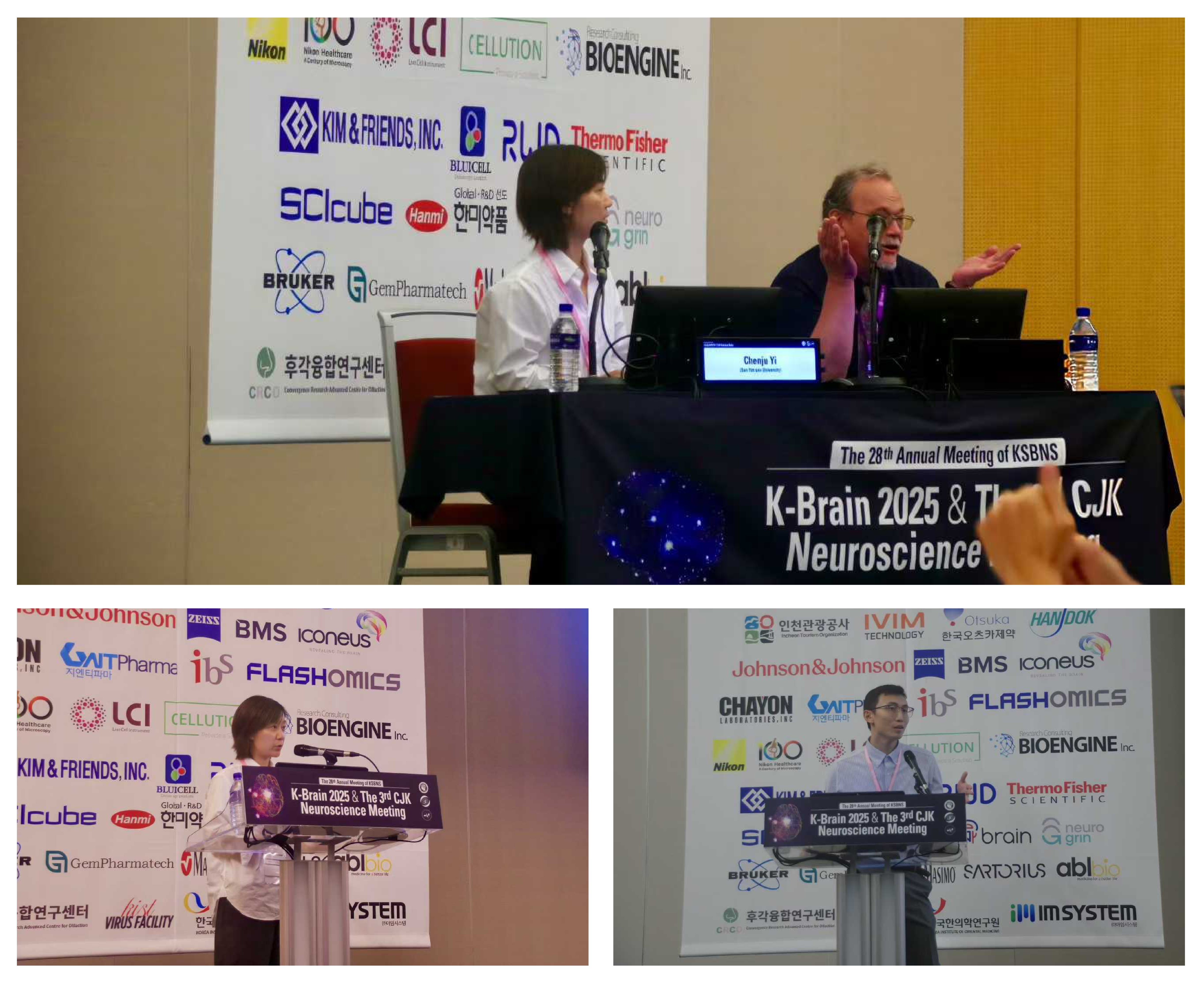 YiWeb-11.jpg